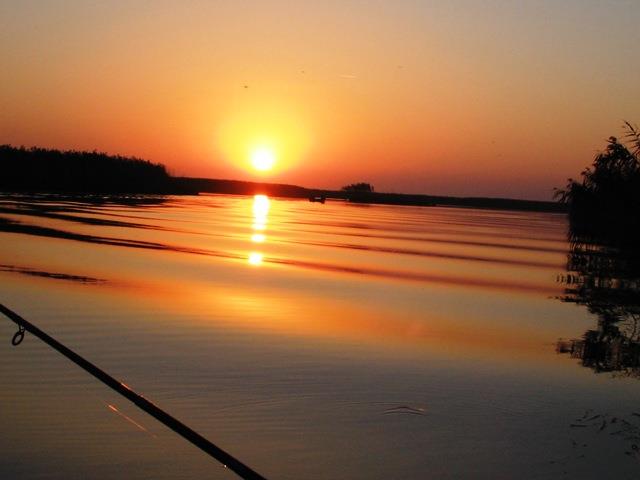 delta rosu 2008 - rosu-2008-206.jpg